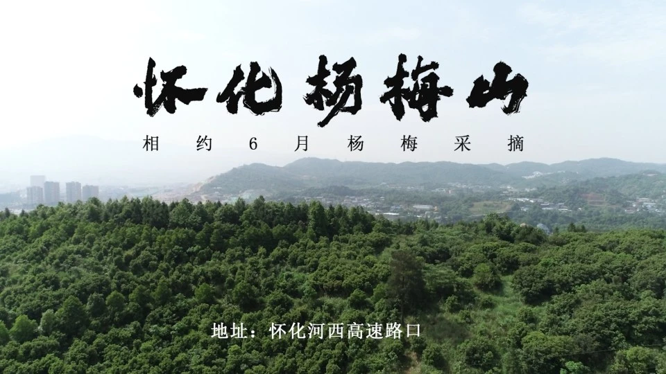 杨梅山5月宣传片湖南新大陆生态建设有限公司